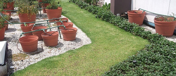 Arquitectura Verde